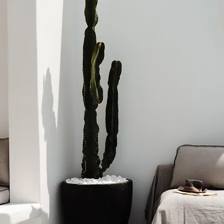 Isola Naxos بيت للعطل *